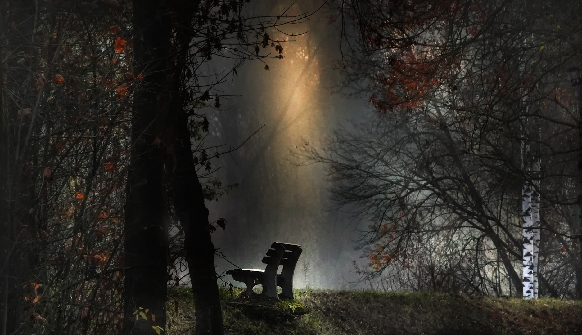  natur Bilder auf fotocommunity Illustration 