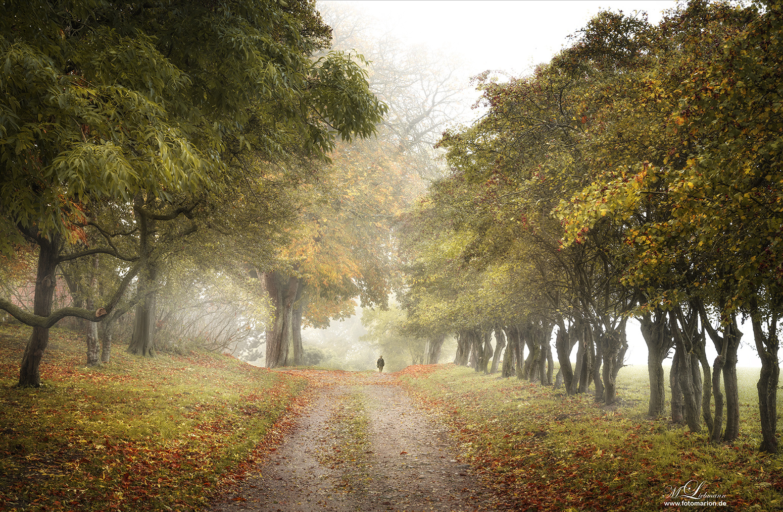 der Herbst kommt