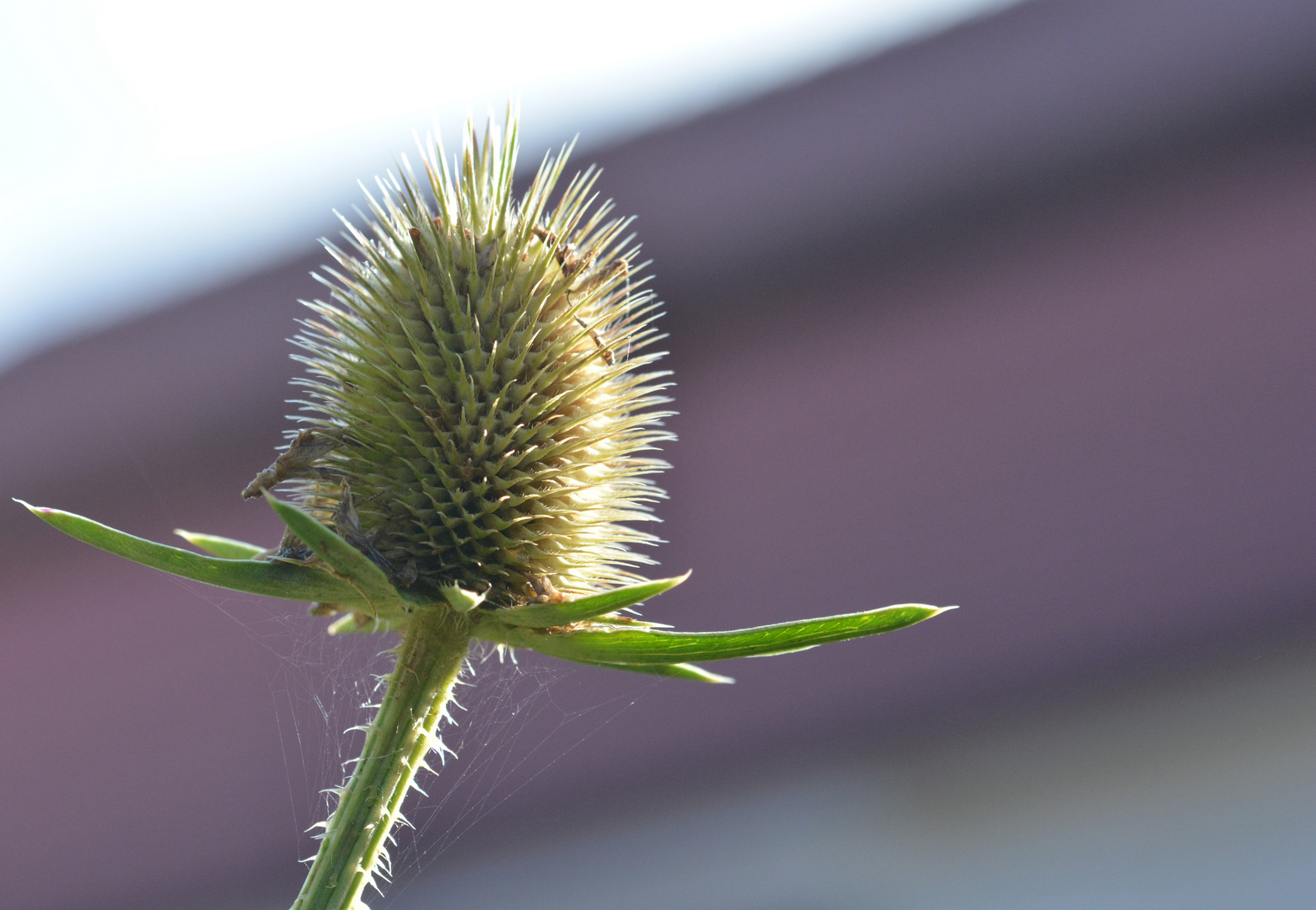 Der Herbst kommt!