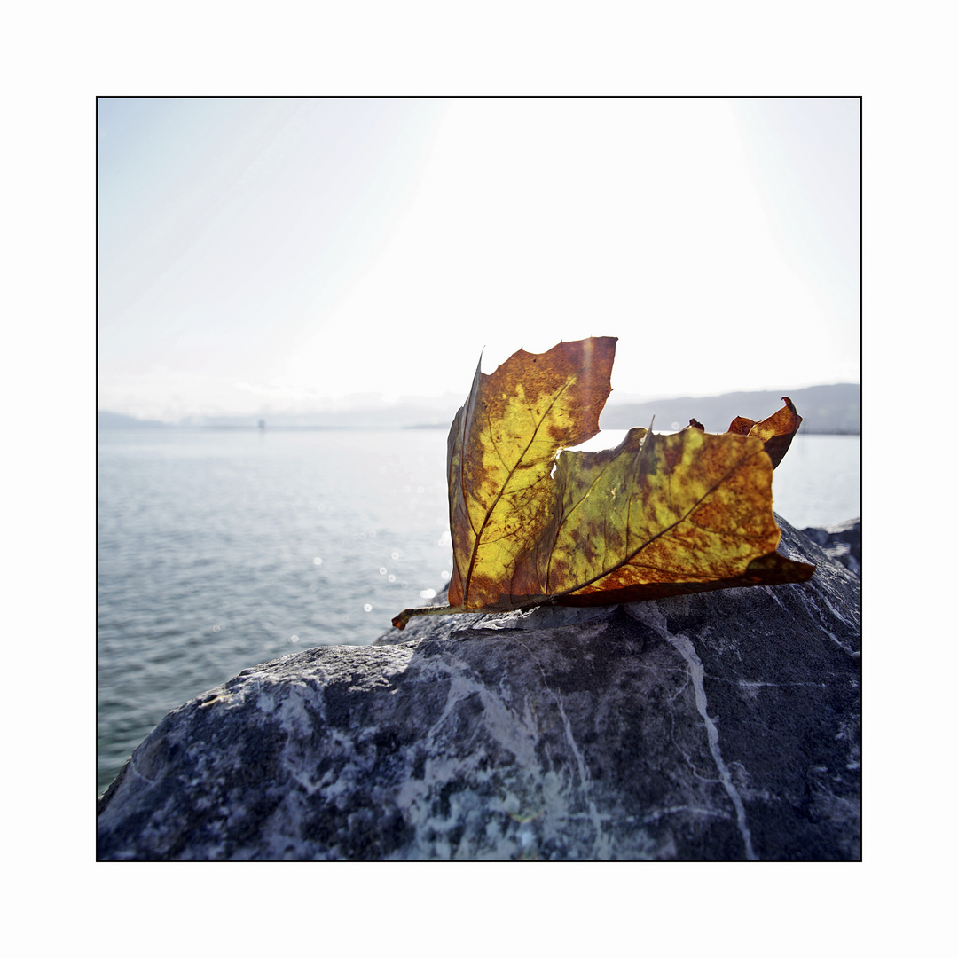  landschaft, jahreszeiten, herbst 