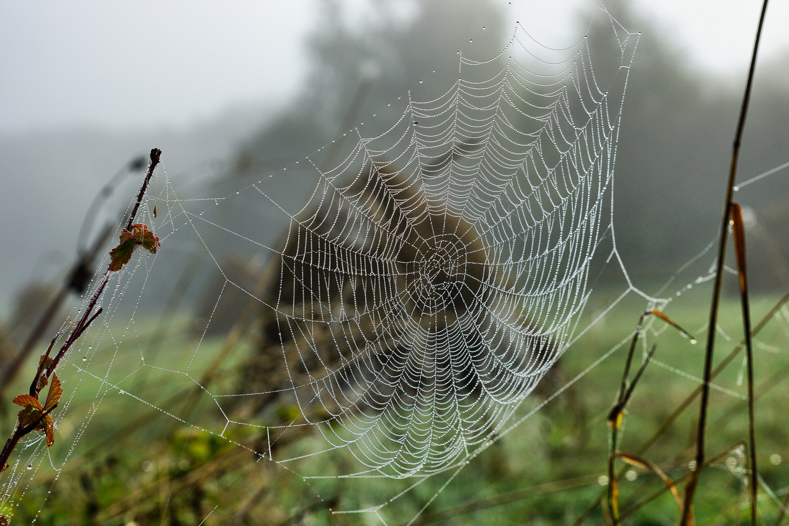 der Herbst kommt 2