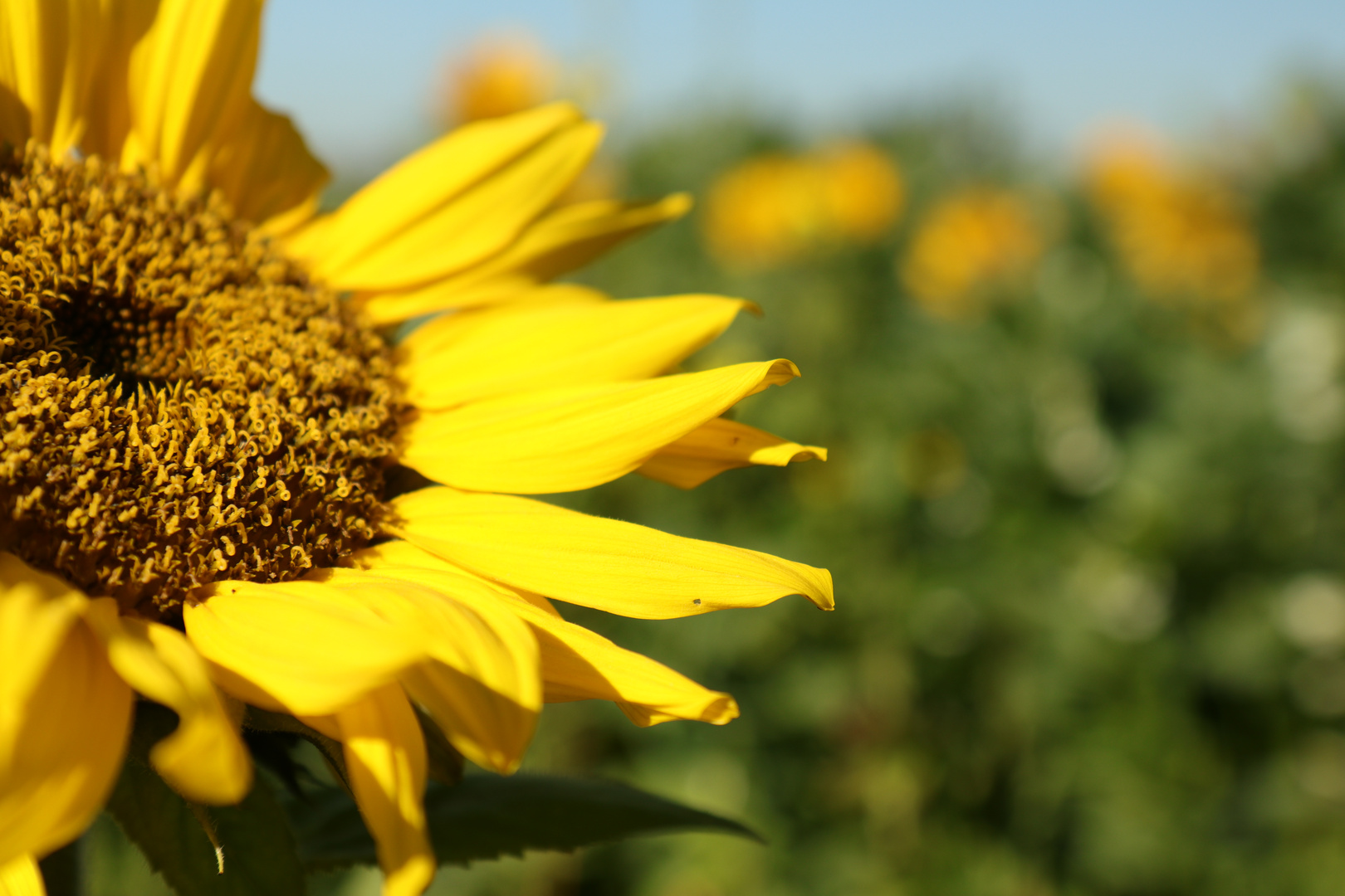 Der Herbst kommt :)