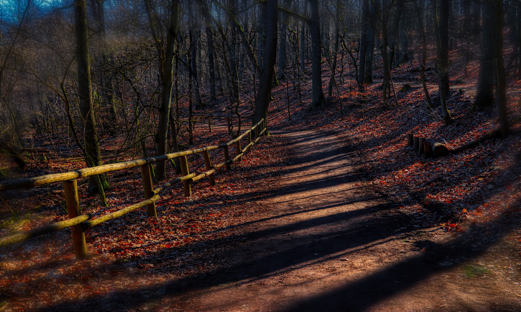  Foto zu Der Herbst kommt Foto & Bild 