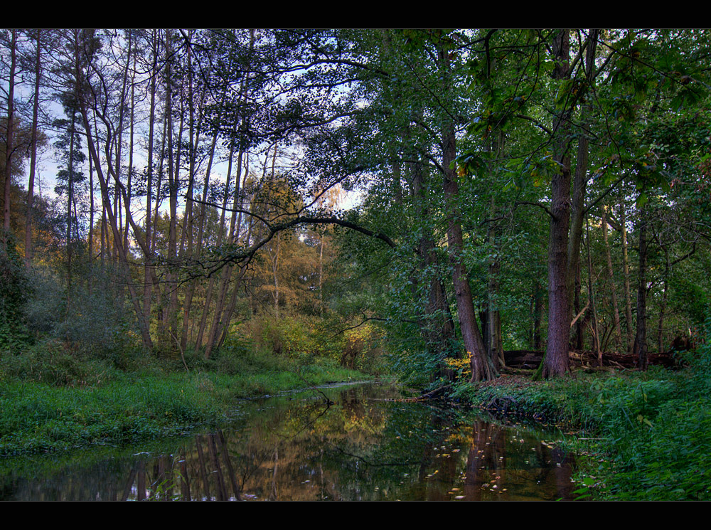 Der Herbst kommt,...