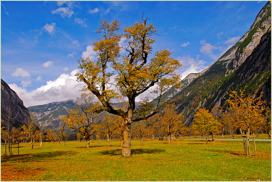 Der Herbst kommt ........