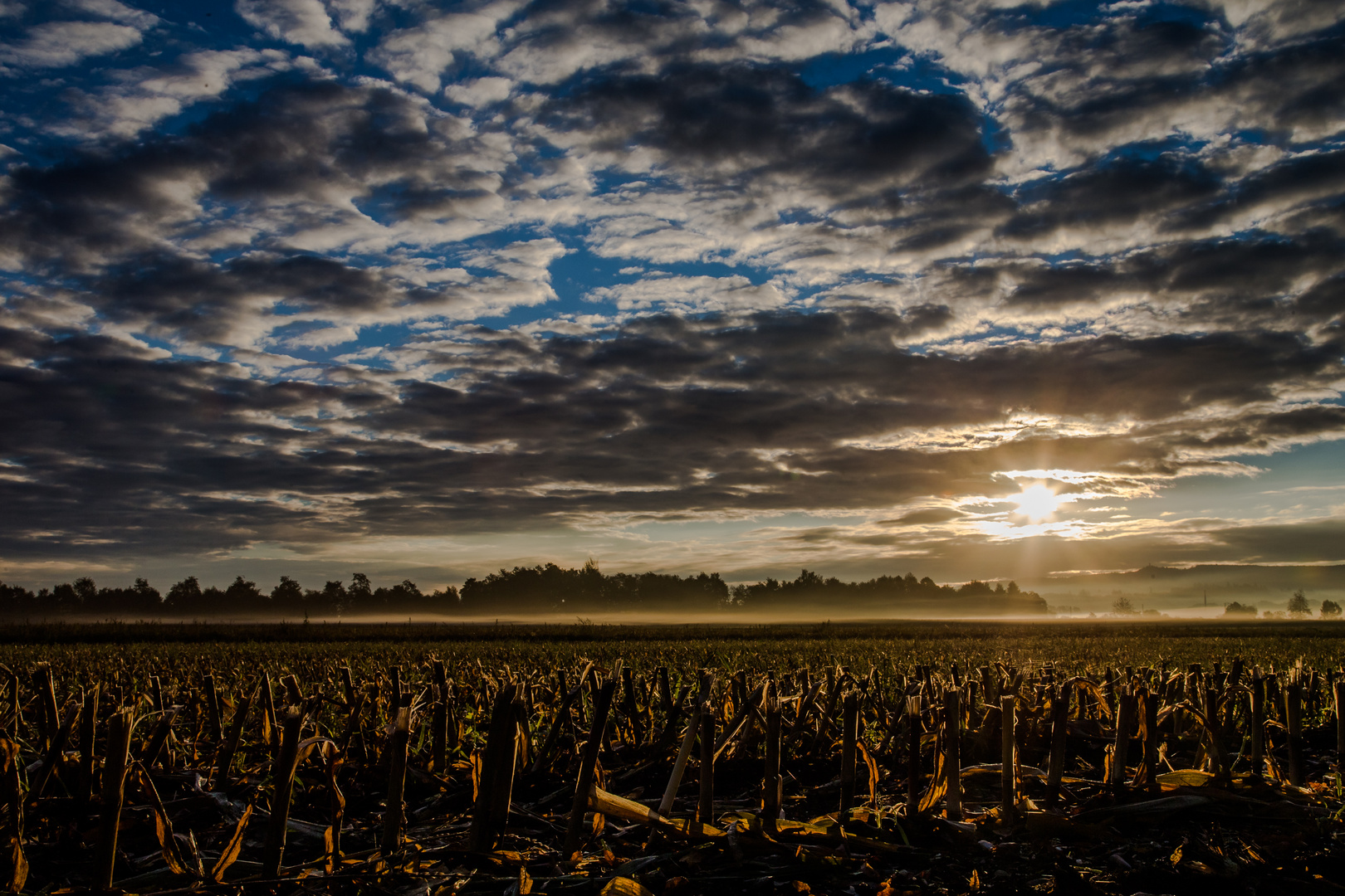 der Herbst kommt