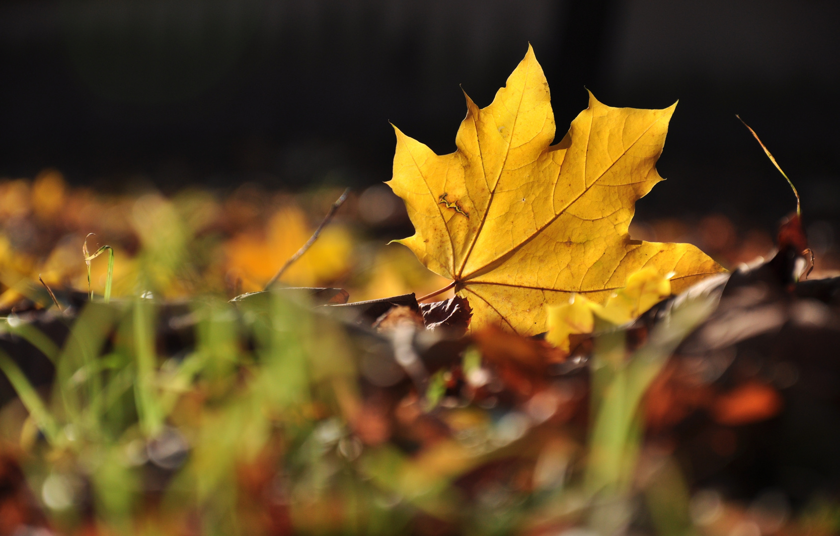 Der Herbst kommt