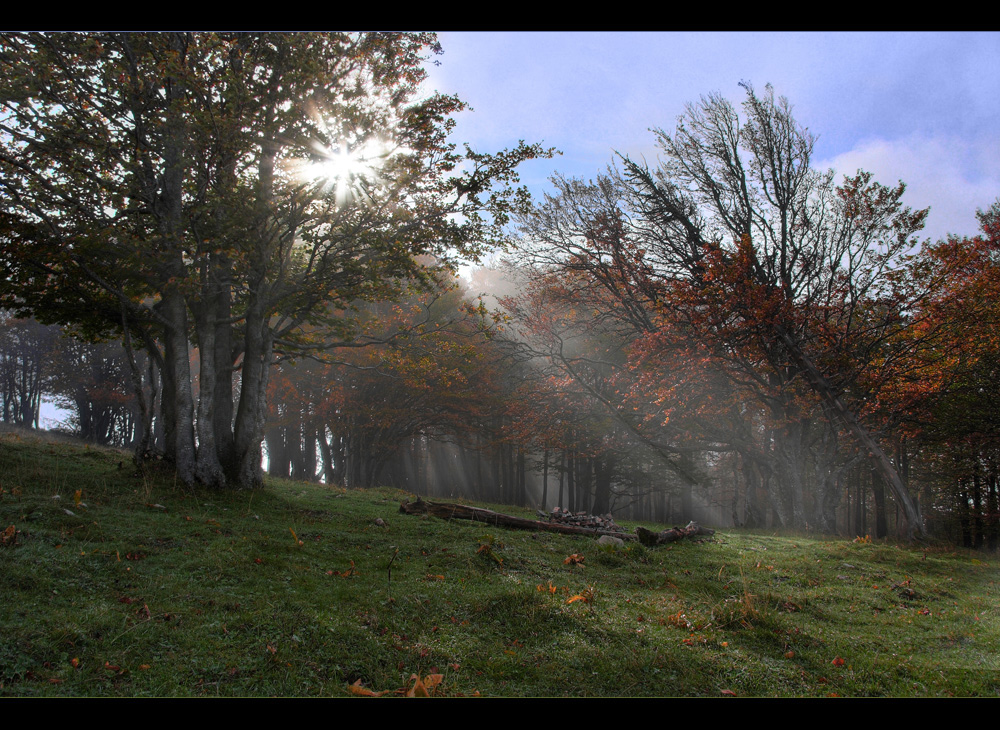 Der Herbst kommt...