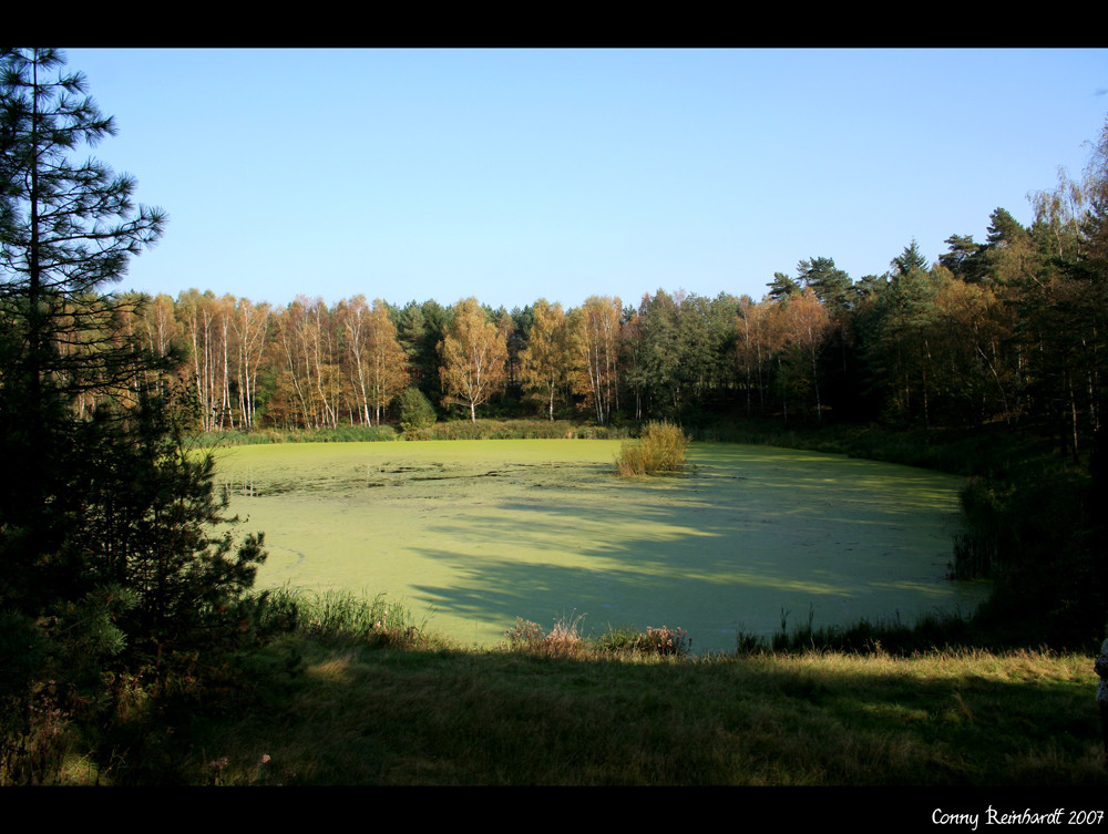 Der Herbst kommt