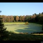 Der Herbst kommt