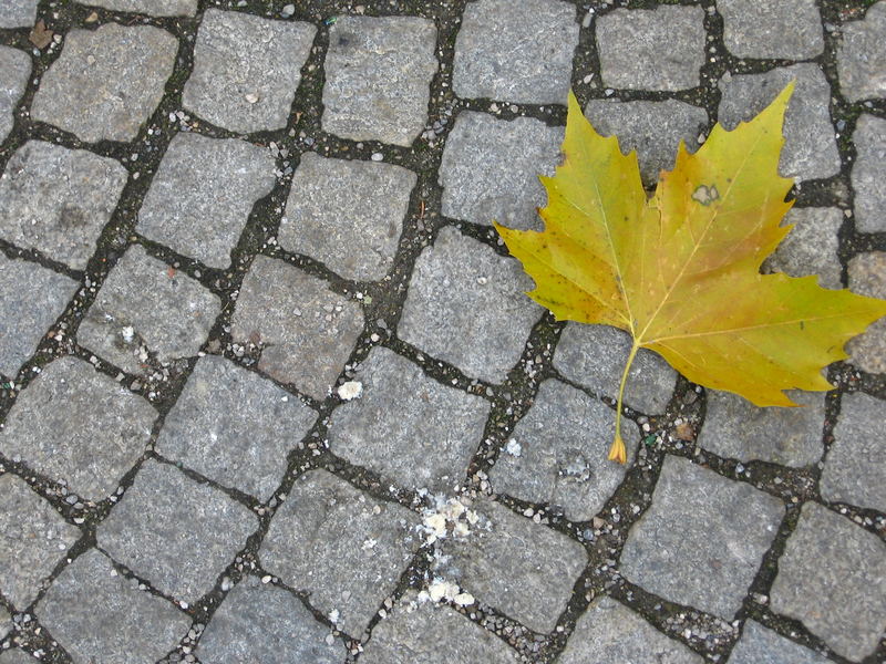 Der Herbst kommt