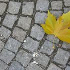 Der Herbst kommt