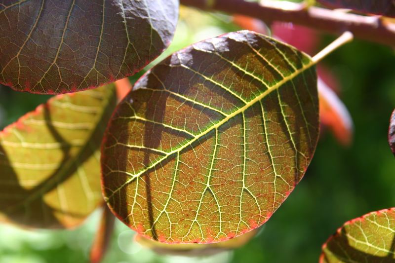 Der Herbst kommt