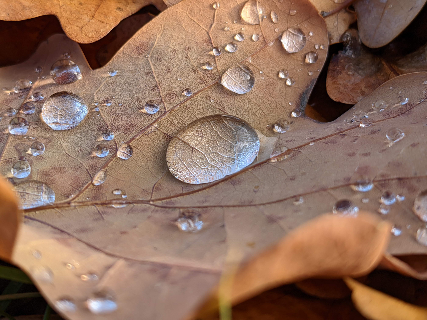 Der Herbst kommt ...