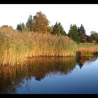 der Herbst kommt