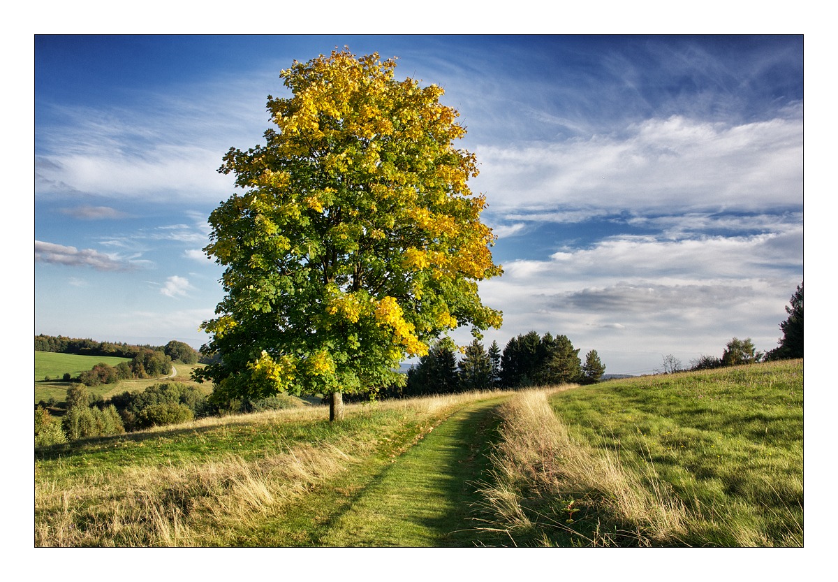 Der Herbst kommt....