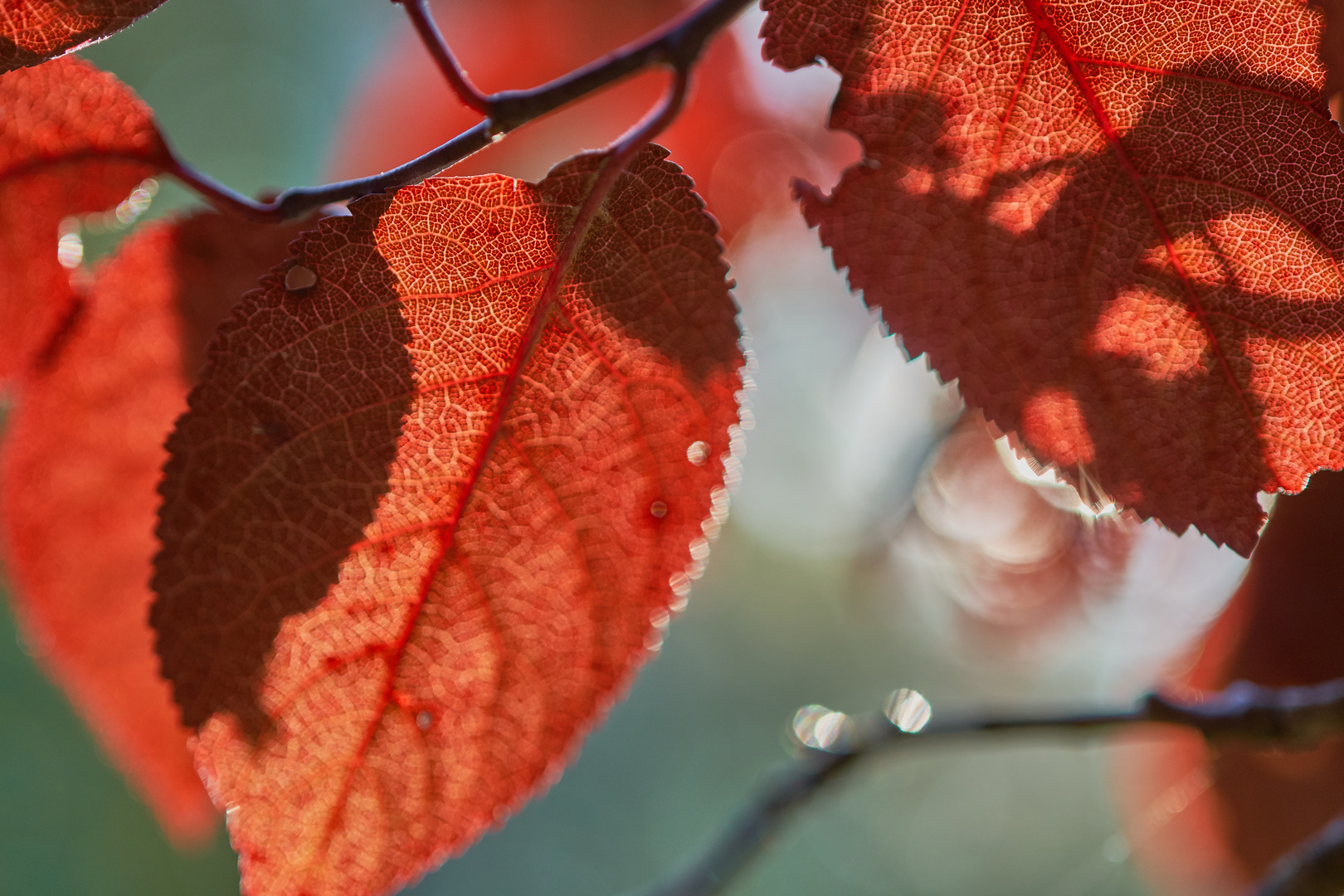 Der Herbst kommt