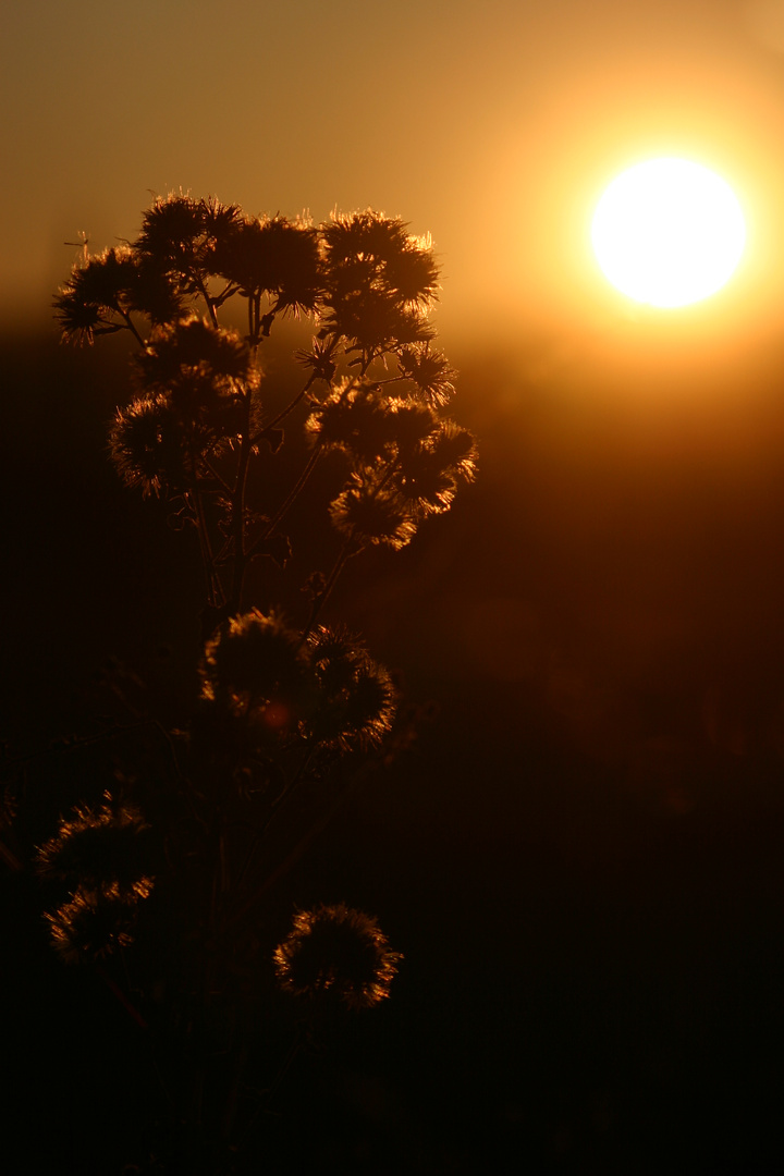 Der Herbst kommt...