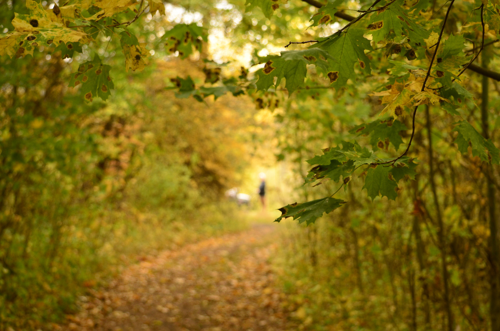 Der Herbst kommt