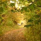 Der Herbst kommt