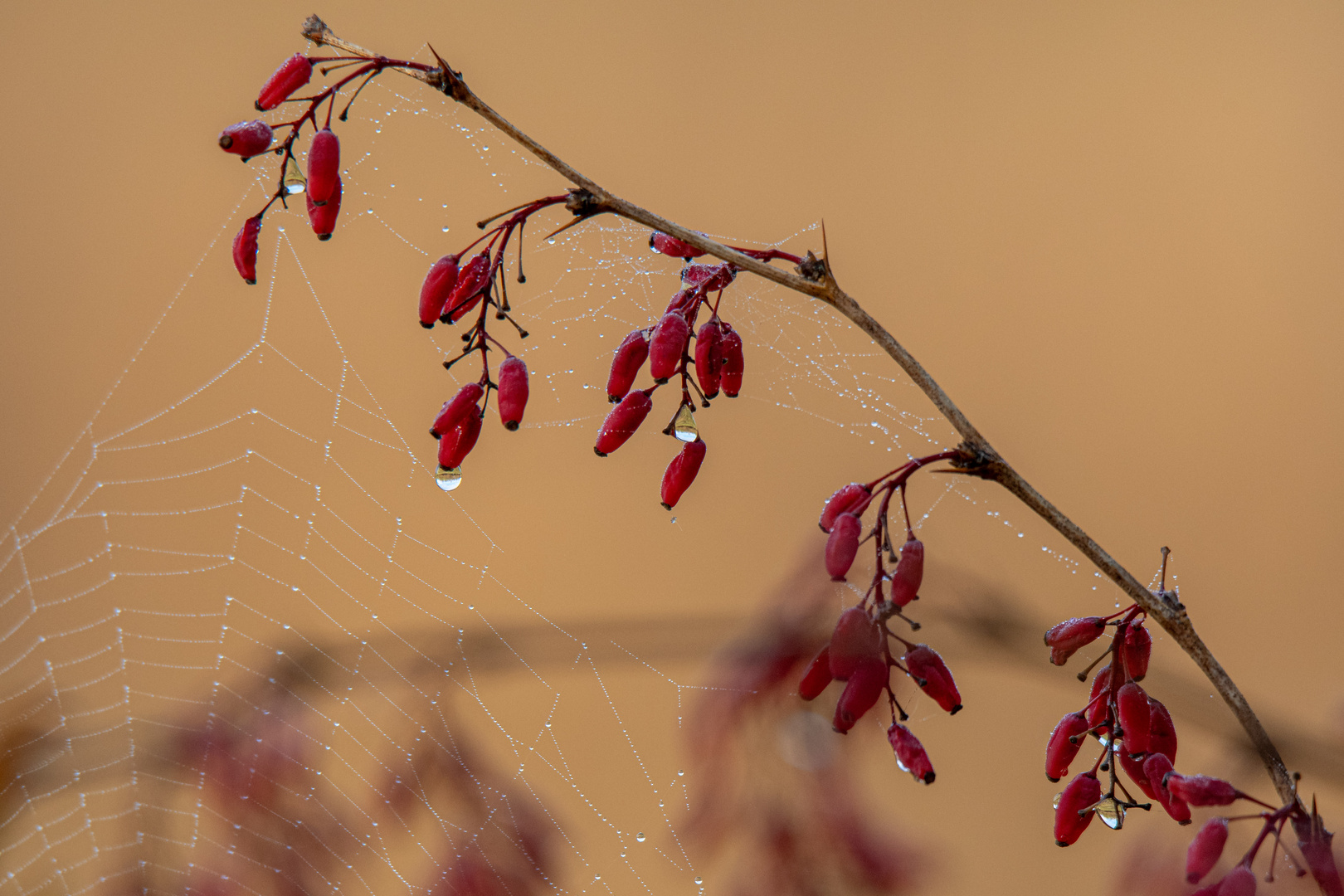 Der Herbst kommt