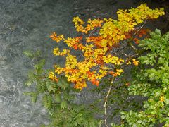 Der Herbst kommt