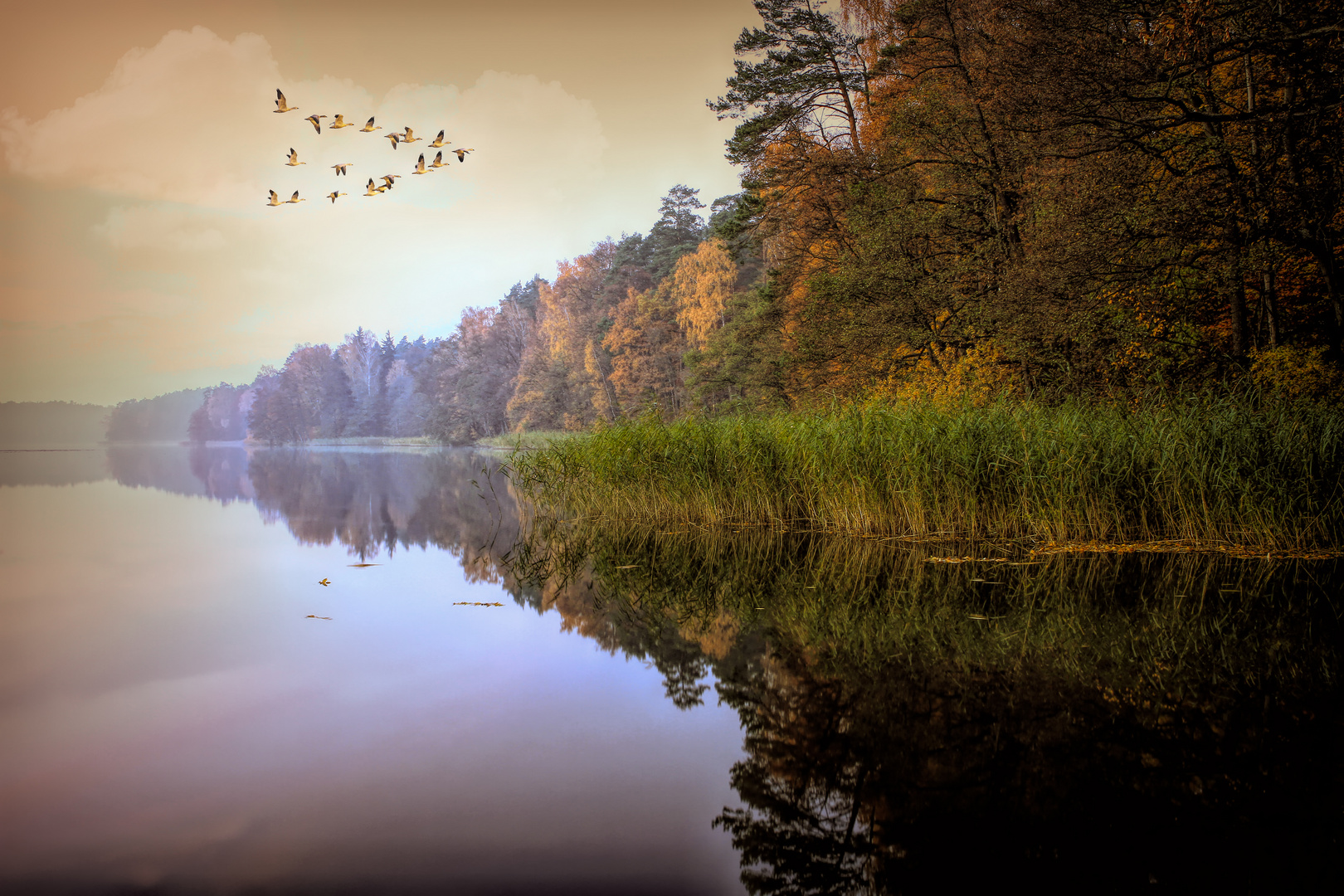 Der Herbst kommt