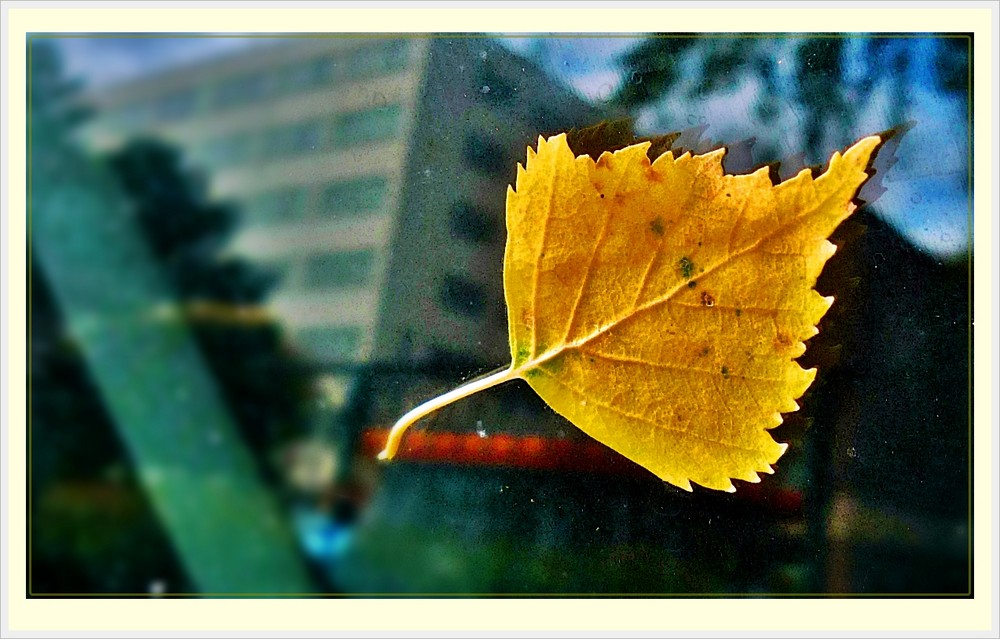 Der herbst kommt :-(