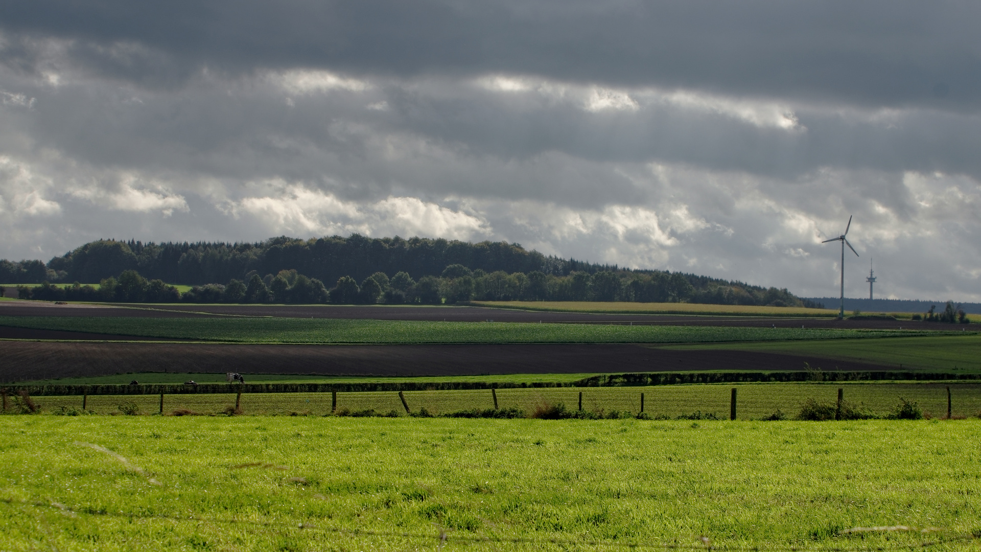 Der Herbst kommt