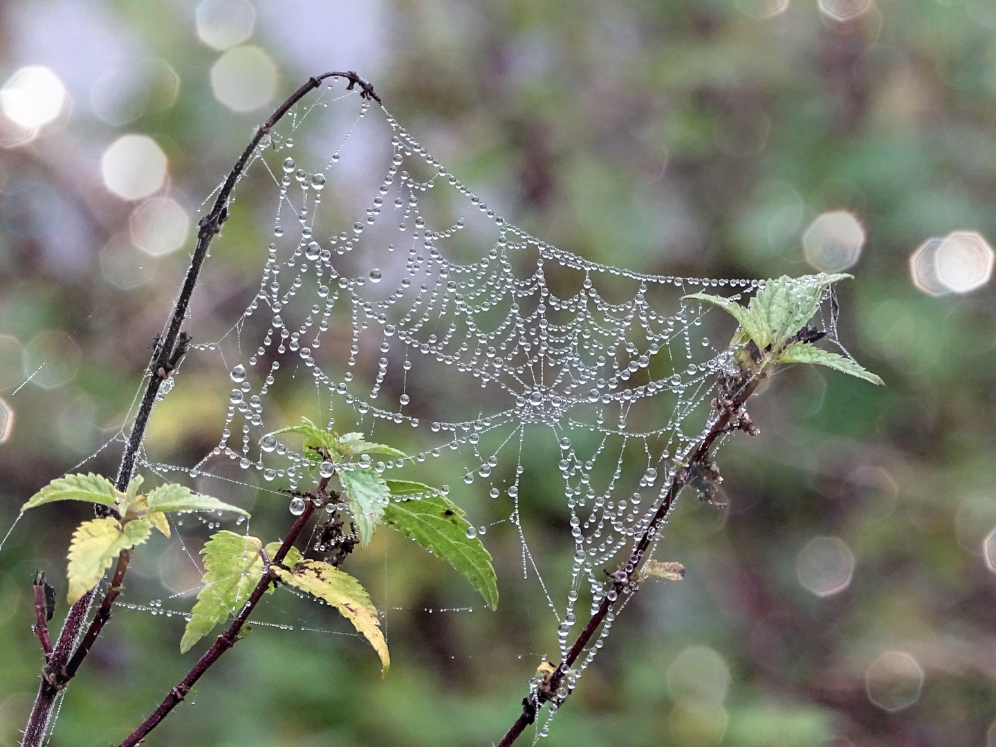 Der Herbst kommt