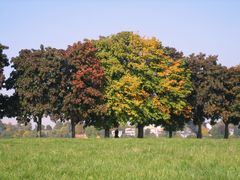 Der Herbst kommt