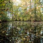 Der Herbst kommt - auch am Waldsee ...