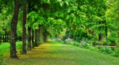 der Herbst kommt auf ganz leisen Sohlen