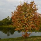 Der Herbst kommt auf nicht mehr ganz so leisen Sohlen :)