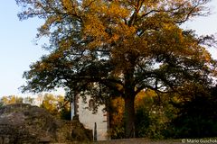 der Herbst kommt