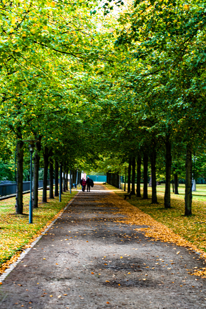 Der Herbst kommt