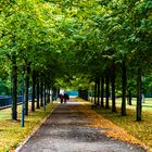 Der Herbst kommt