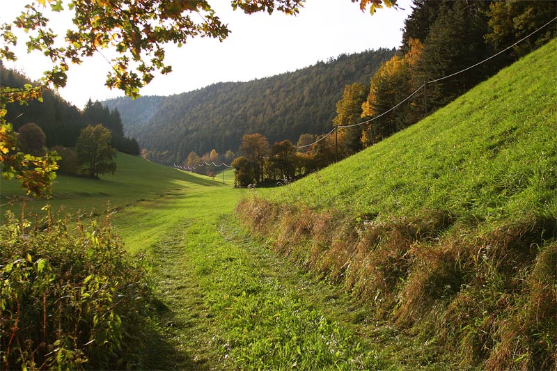 der Herbst kommt