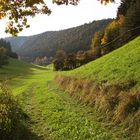 der Herbst kommt