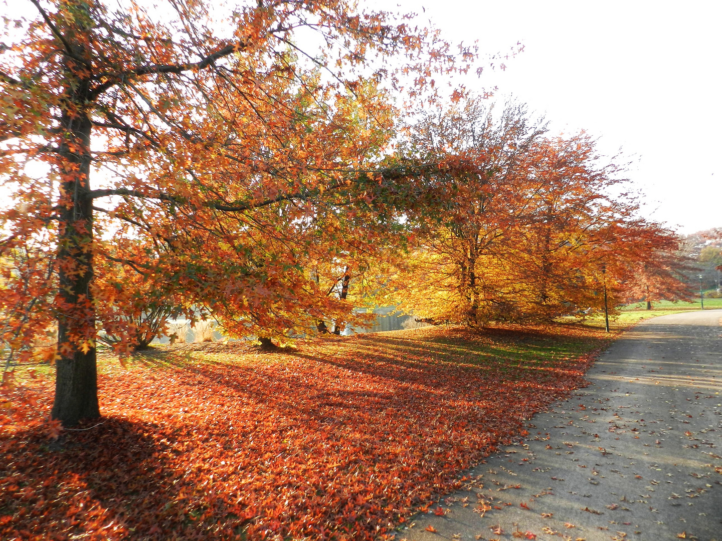 Der Herbst kommt....