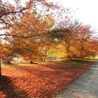 Der Herbst kommt....