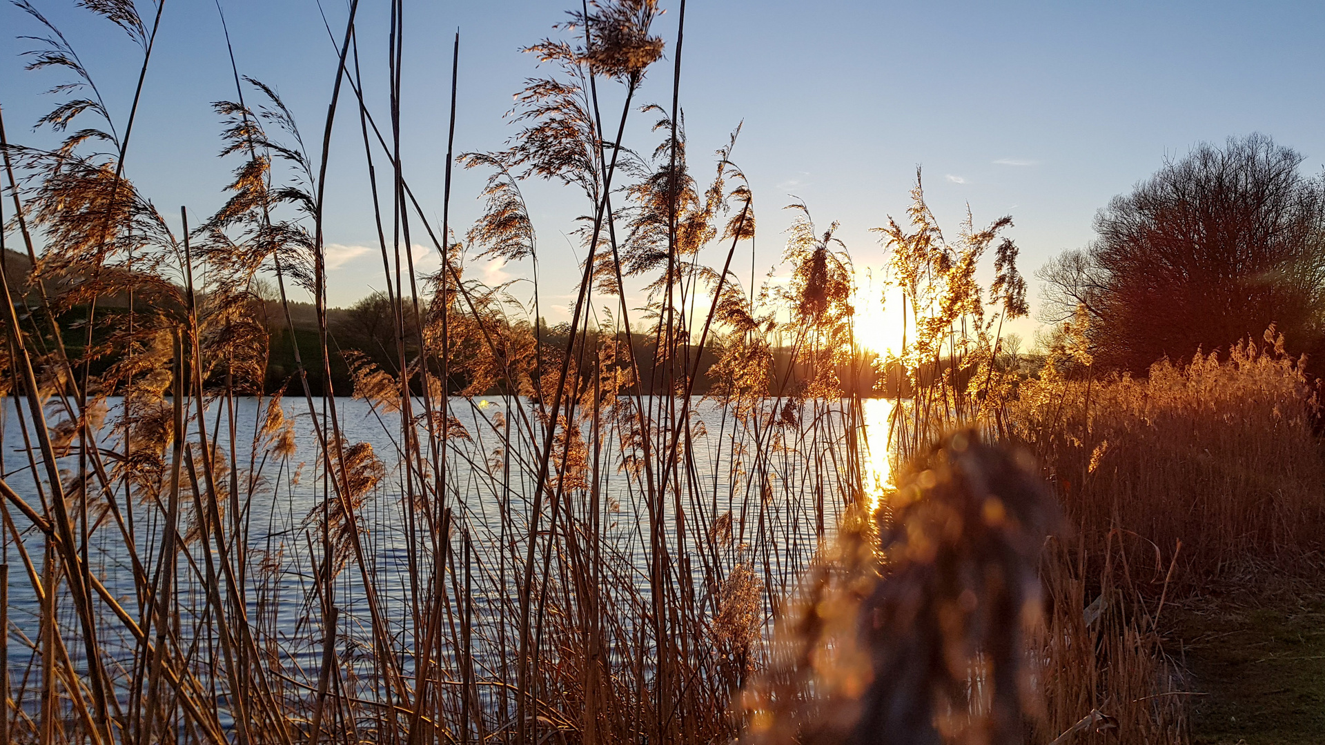 Der Herbst kommt