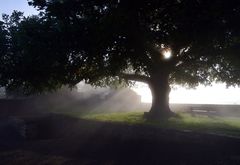 Der Herbst kommt