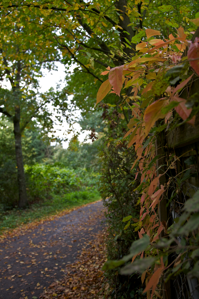 Der Herbst kommt