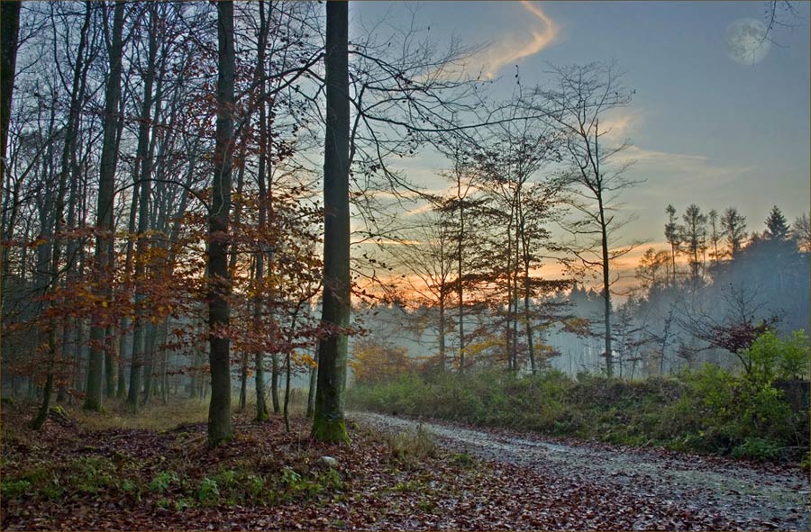 Der Herbst kommt