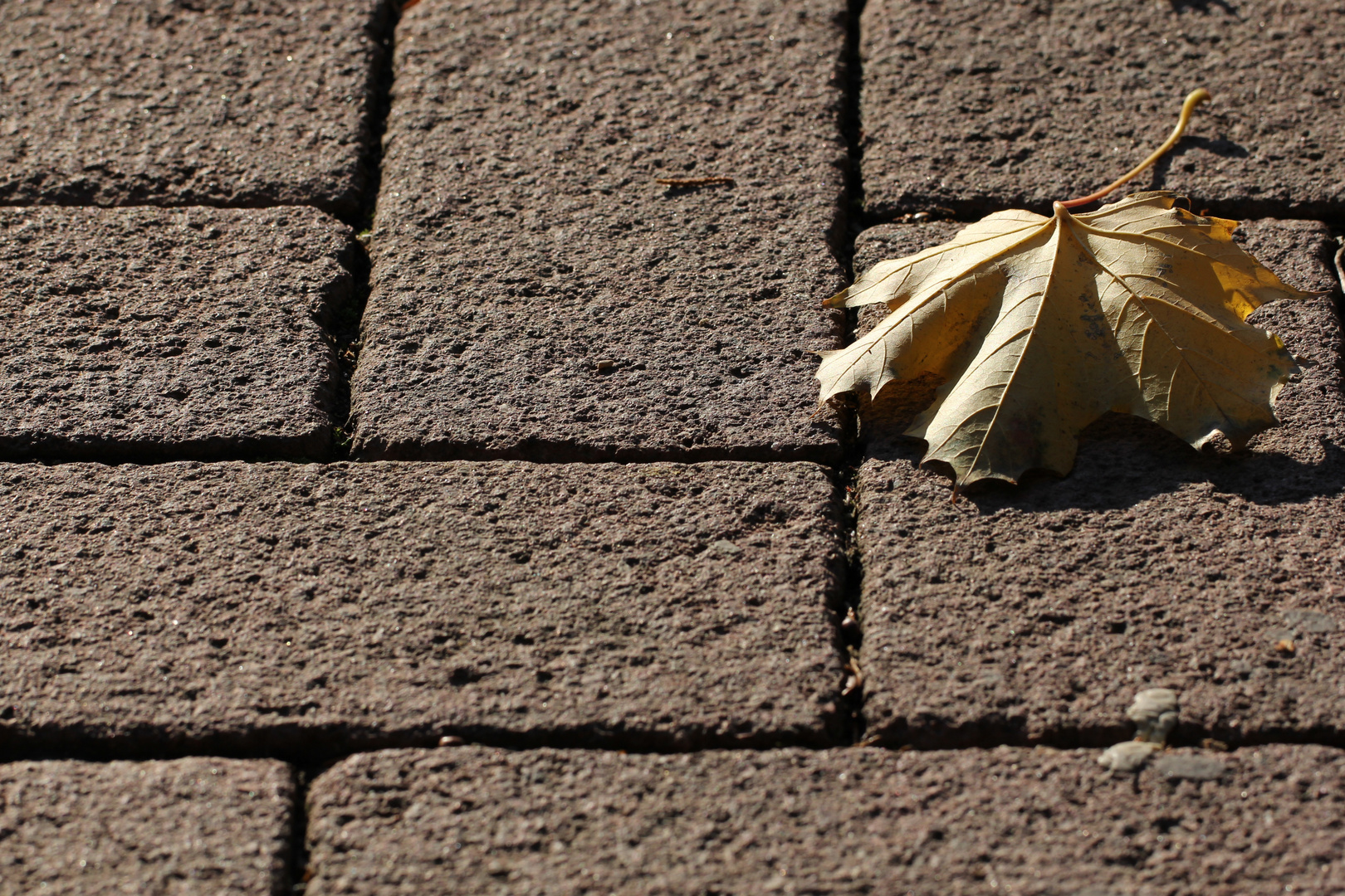 Der Herbst kommt