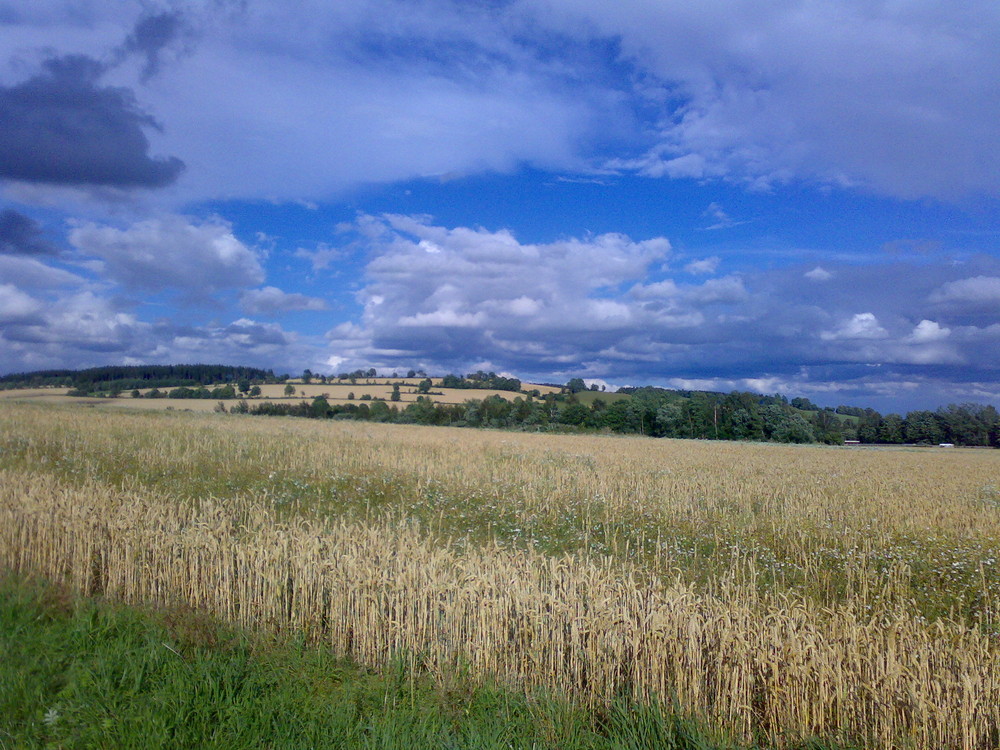 Der Herbst kommt!