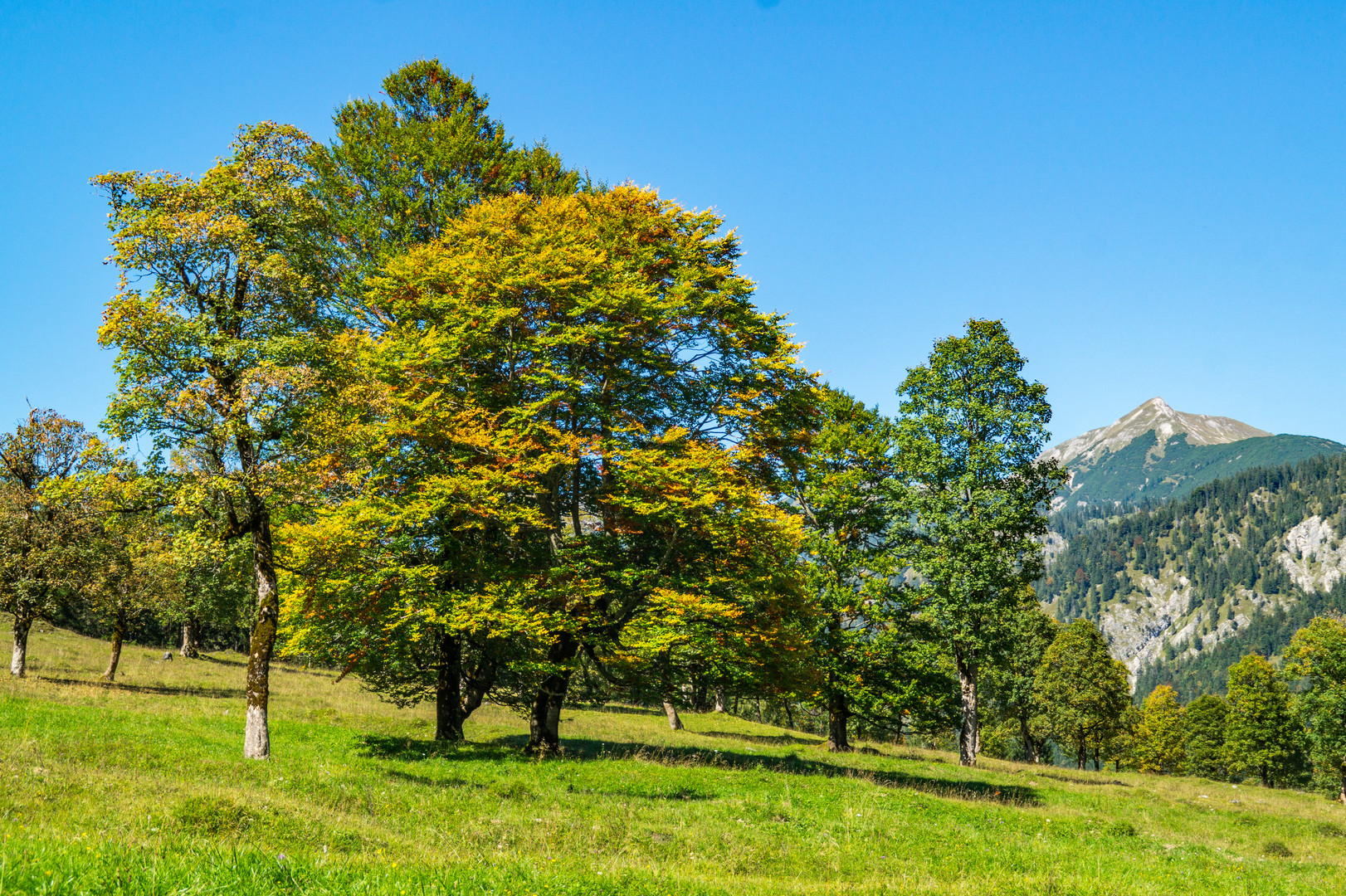 Der Herbst kommt