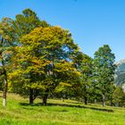 Der Herbst kommt