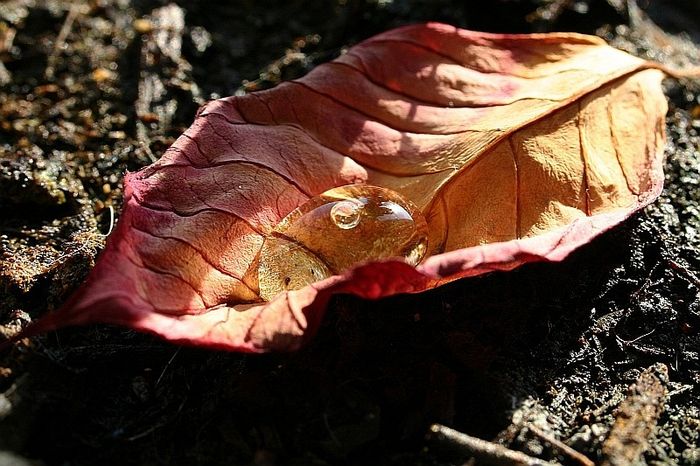 der Herbst kommt doch